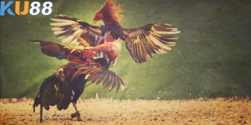 Người chơi được hòa mình vào không gian của trận đấu